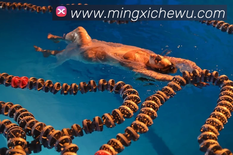 多媒体互动体验